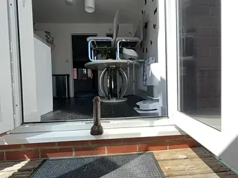 Missalex_xo webcam stripchat model stream image