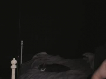 jeff_enigma webcam model stream image