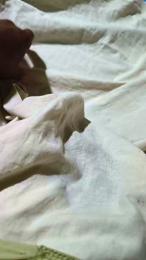 Exoticboy24 webcam model stream image