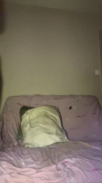 maarion_eladi1 webcam model stream image