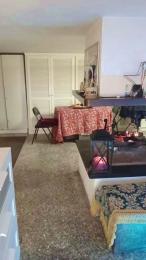 Penele webcam model stream image