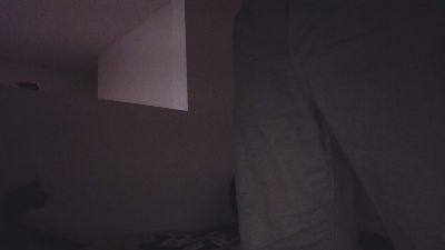 Beardedveteran webcam model stream image