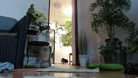 Squirtmania stripchat stream image