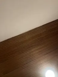 AgathaGeorgiou stripchat stream image