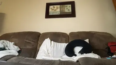 MobyDxck stripchat stream image