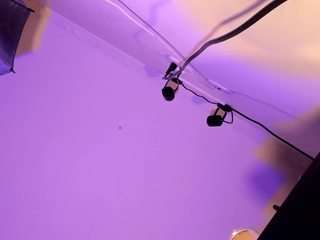 apotheosiss camsoda stream image