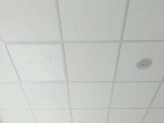 ladyhex camsoda stream image