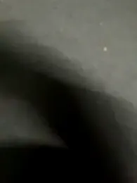miacanela_xo stripchat stream image