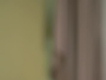 pafosstar chaturbate stream image