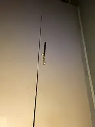 DiamondGoddes stripchat stream image