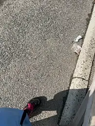 CrazzyChicks stripchat stream image