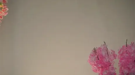 AmiLewis stripchat stream image