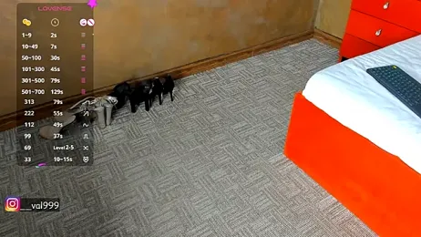 VallerieJones stripchat stream image