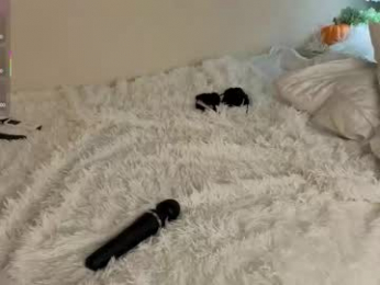 maudcouncil chaturbate stream image