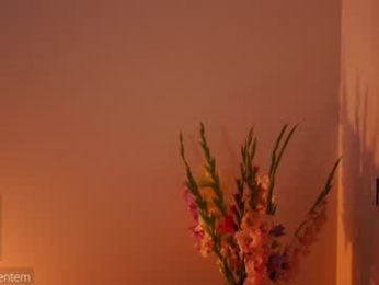 ms_seductive chaturbate stream image