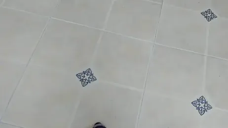 playsgirlhot stripchat stream image