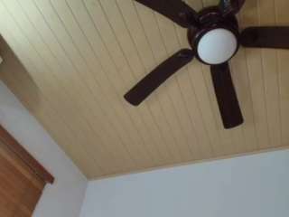 lexxxdrive camsoda stream image