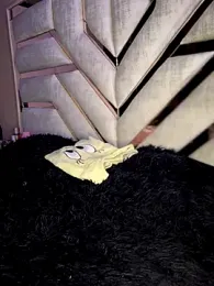 Laura-Khalifa stripchat stream image