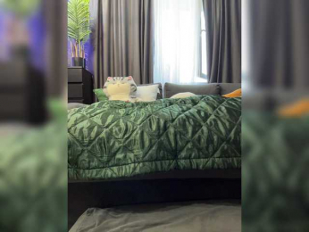 MagicMelody bongacams stream image