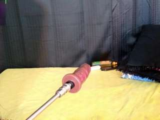 denisewolfe camsoda stream image