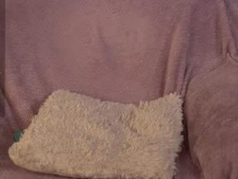 e_vvv_a chaturbate stream image, 18.09.2025 18:20