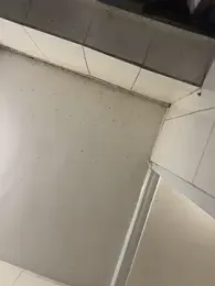 Efangfang stripchat stream image