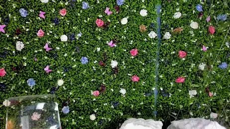 BabyAylin stripchat stream image