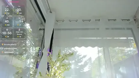 Russian_Ava stripchat stream image