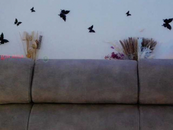 Kocmoc_Katerina bongacams stream image