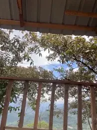 sexi_noemi stripchat stream image