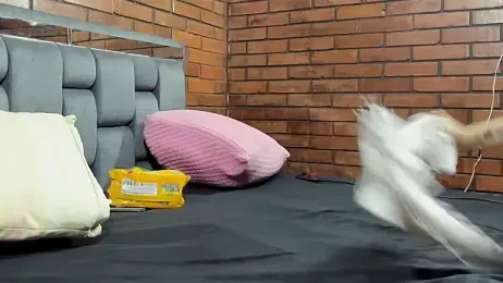 Couple_Gold69 stripchat stream image