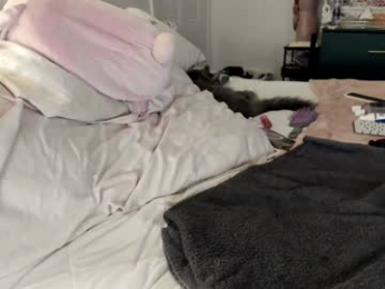 eve003300 chaturbate stream image