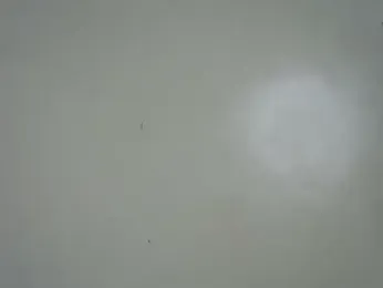 Rasta_tattooed stripchat stream image