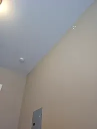 AmethystFoxx stripchat stream image