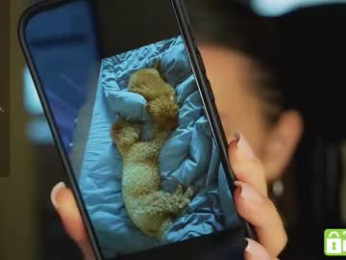 roxxxete chaturbate stream image