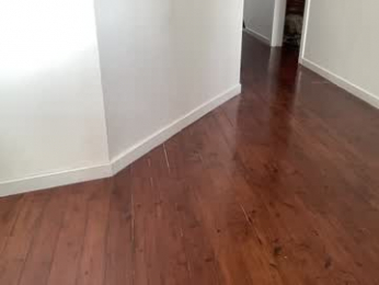 shysashy chaturbate stream image