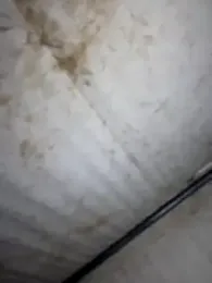 GoldenFlameGoddess stripchat stream image