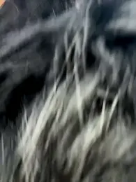 AndreaMood stripchat stream image