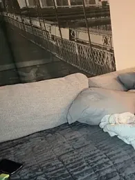 Bigbuttbrooklynn stripchat stream image