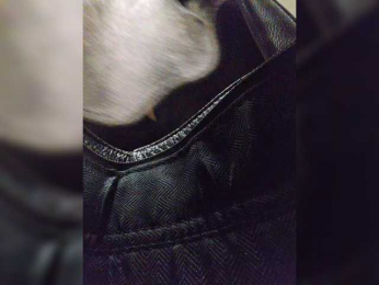 EditaMilf bongacams stream image