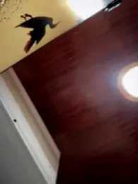 Sofia_Collins- stripchat stream image