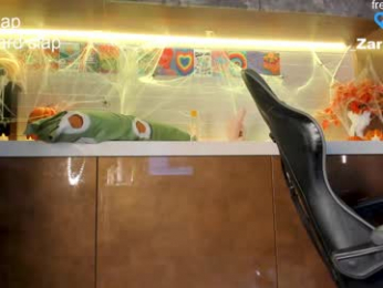 honey_pinkgreen chaturbate stream image