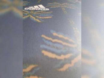 Cocochanell bongacams stream image