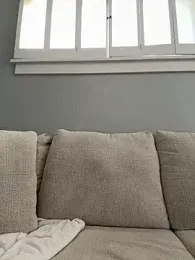 LoveShae_ stripchat stream image