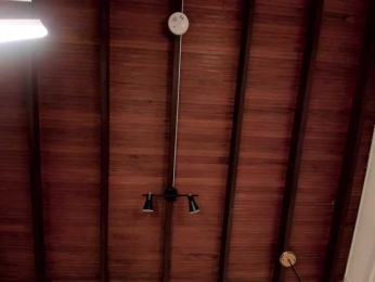 SophieBlake bongacams stream image