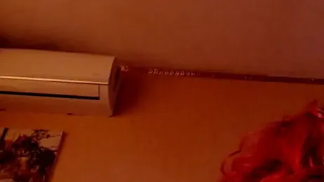 GloriaUpperLove stripchat stream image