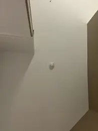 Bigbuttbrooklynn stripchat stream image