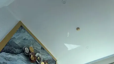 Carolyn_Smith stripchat stream image