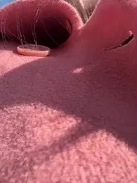 Xixi-Gala stripchat stream image