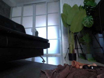 delpogorlo bongacams stream image